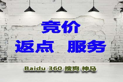 精准投放，高效转化——网站sem托管的胜利案例